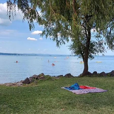 Life * Siófok